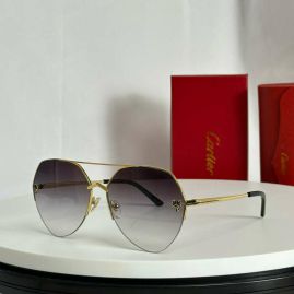 Picture of Cartier Sunglasses _SKUfw55796523fw